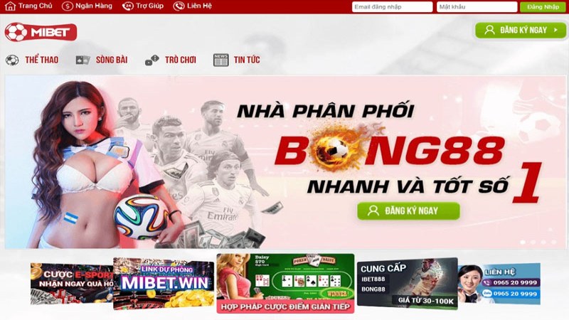 Một số thông tin tổng quan giới thiệu về cổng game